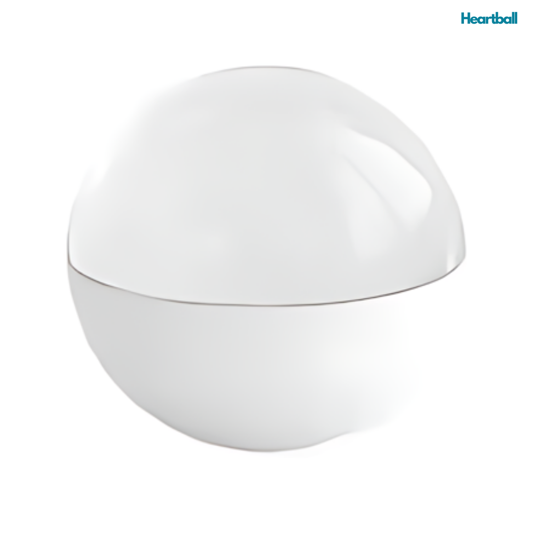 HeartBall™ – Fånga Minnen i En Unik Presentboll