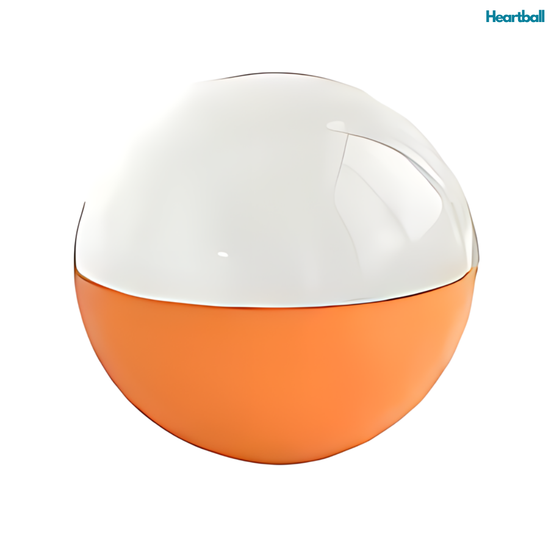 HeartBall™ – Fånga Minnen i En Unik Presentboll